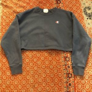 Champion cropped sweatshirt.